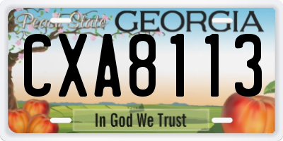 GA license plate CXA8113