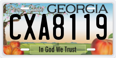 GA license plate CXA8119