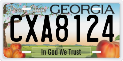 GA license plate CXA8124