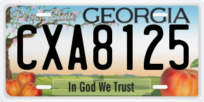 GA license plate CXA8125