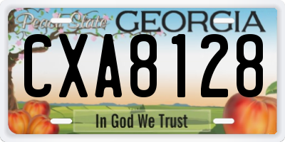 GA license plate CXA8128