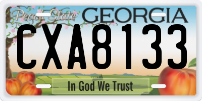 GA license plate CXA8133
