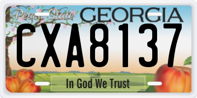 GA license plate CXA8137
