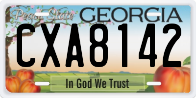 GA license plate CXA8142