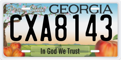 GA license plate CXA8143