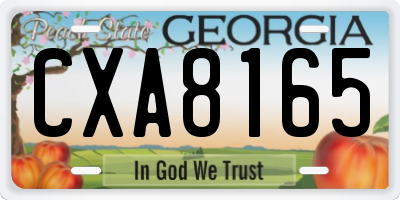 GA license plate CXA8165