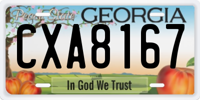 GA license plate CXA8167