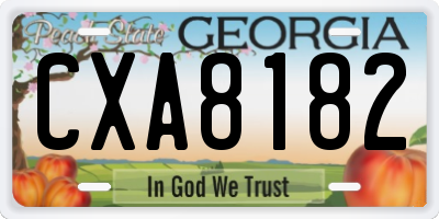 GA license plate CXA8182