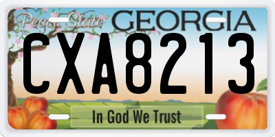GA license plate CXA8213