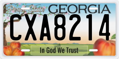 GA license plate CXA8214