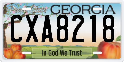 GA license plate CXA8218