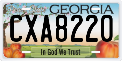 GA license plate CXA8220