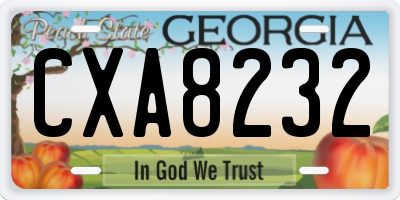 GA license plate CXA8232