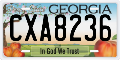 GA license plate CXA8236