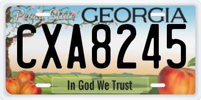 GA license plate CXA8245