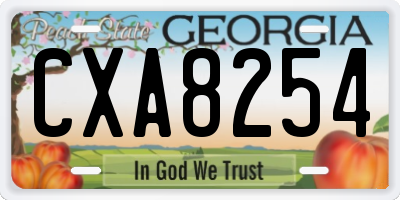 GA license plate CXA8254