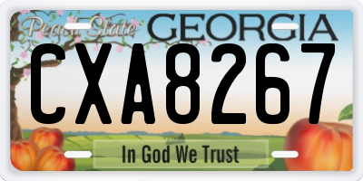 GA license plate CXA8267