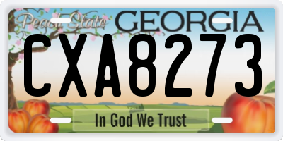 GA license plate CXA8273
