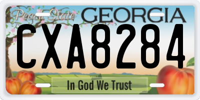 GA license plate CXA8284