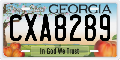 GA license plate CXA8289