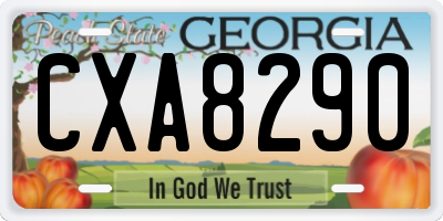 GA license plate CXA8290
