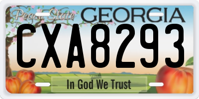 GA license plate CXA8293