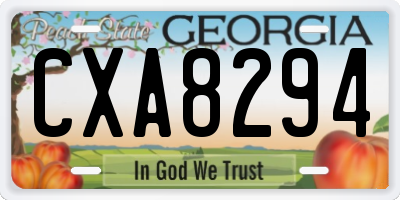 GA license plate CXA8294