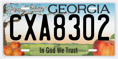 GA license plate CXA8302