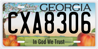 GA license plate CXA8306