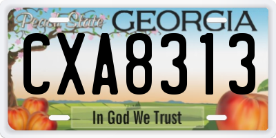GA license plate CXA8313