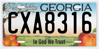 GA license plate CXA8316
