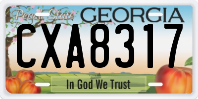 GA license plate CXA8317