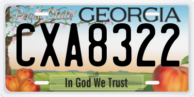 GA license plate CXA8322