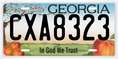 GA license plate CXA8323