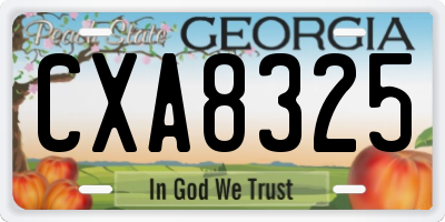 GA license plate CXA8325