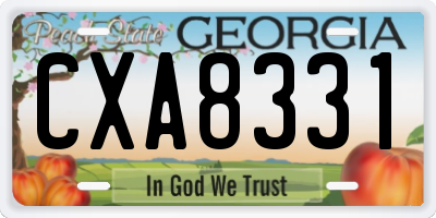 GA license plate CXA8331