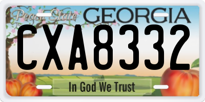 GA license plate CXA8332
