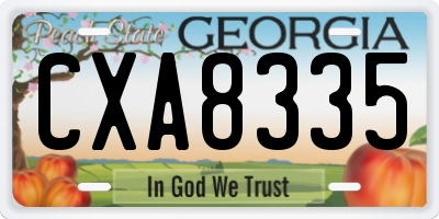 GA license plate CXA8335