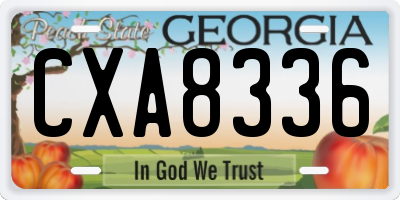 GA license plate CXA8336