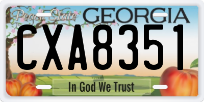 GA license plate CXA8351