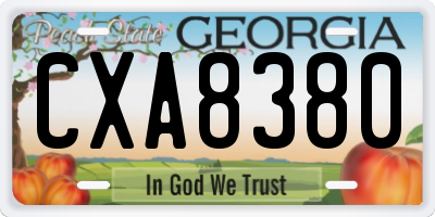 GA license plate CXA8380