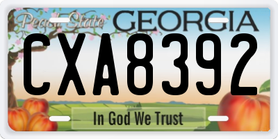 GA license plate CXA8392