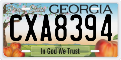 GA license plate CXA8394