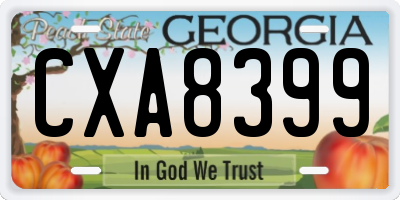 GA license plate CXA8399
