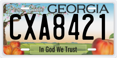 GA license plate CXA8421