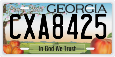 GA license plate CXA8425