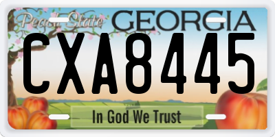 GA license plate CXA8445