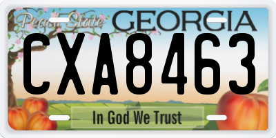 GA license plate CXA8463