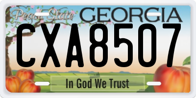GA license plate CXA8507