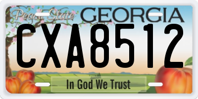 GA license plate CXA8512